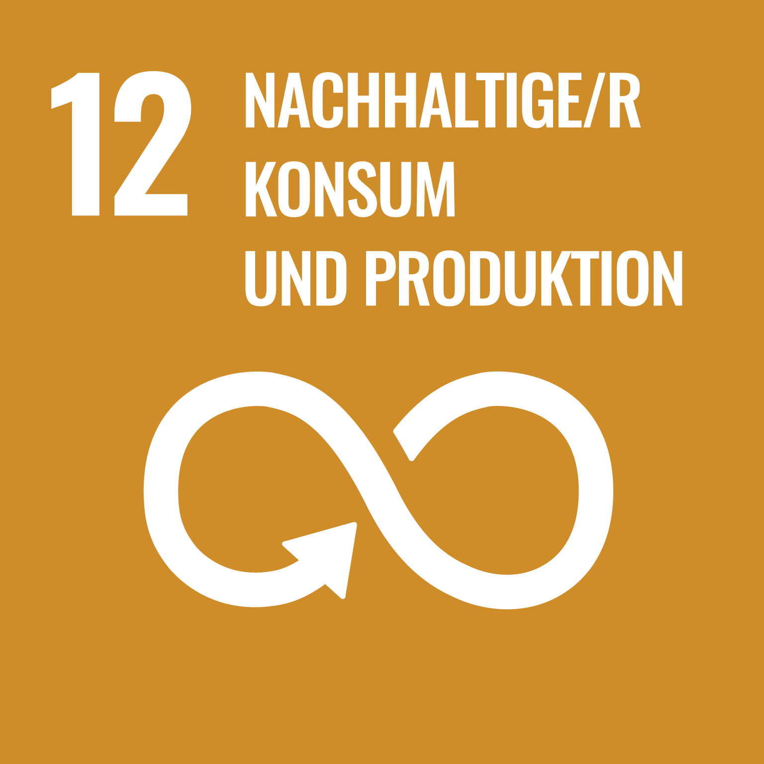 SDG_icons_DE-12.png